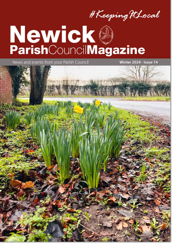 Newick Parish Council Magazine issue 14 front cover