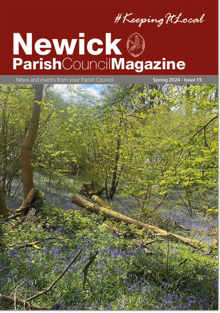 Newick Parish Council Magazine issue 15 front cover