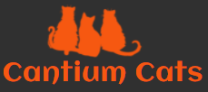 Cantium Cats logo