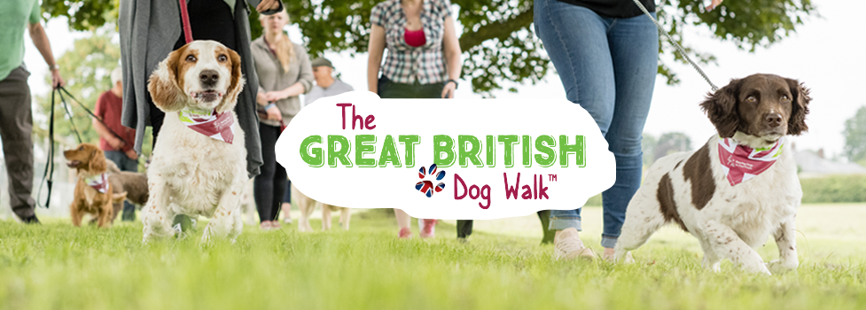 The Great British Dog Walk