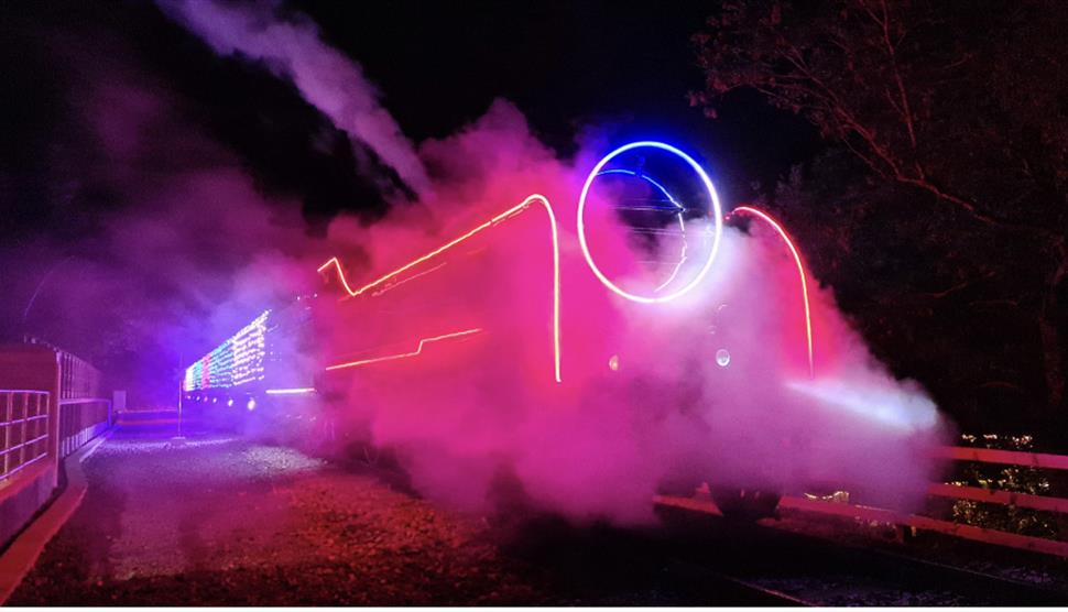 Steam Illuminations at Mid Hants Railway