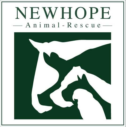 New Hope Animal Rescue Herne Bay | CommunityAd