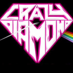 CommunityAd Exclusive - Crazy Diamond in Bramley – a tribute to Pink Floyd