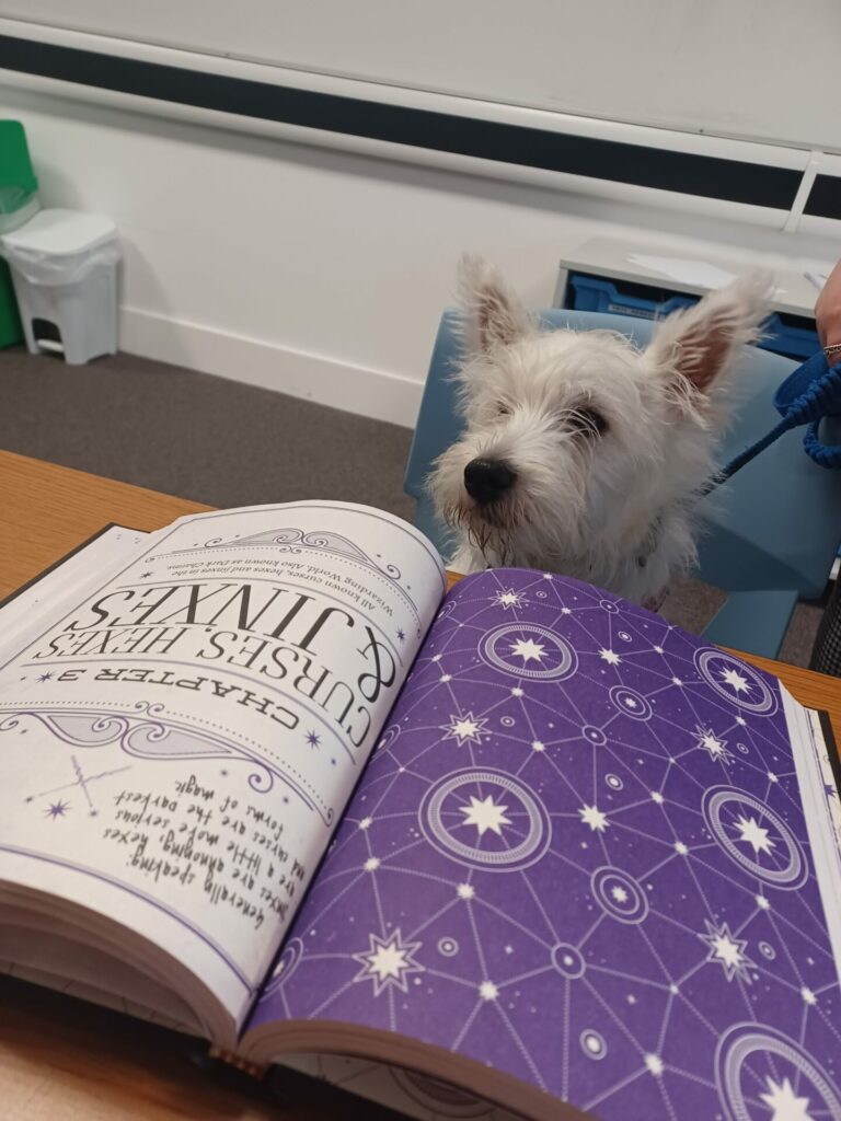 CommunityAd Exclusive - Snowfields Academy, Bearsted: The Pawsitive Impact of Wellbeing Dogs